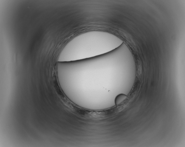 X0000116630367200912111005