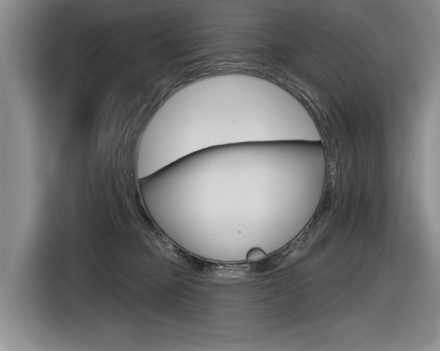 X0000116630373200912111005