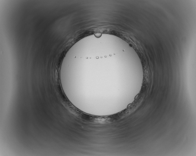 X0000116630375200912111005