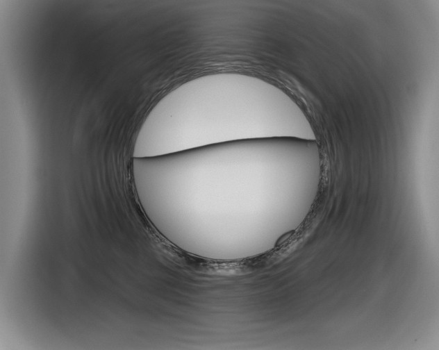X0000116630377200912111006