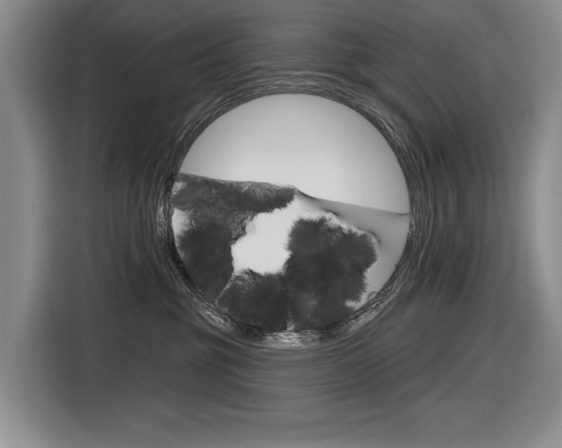 X0000116630381200912111006