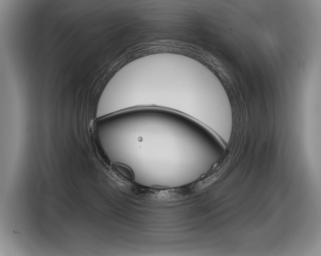 X0000116630382200912111006