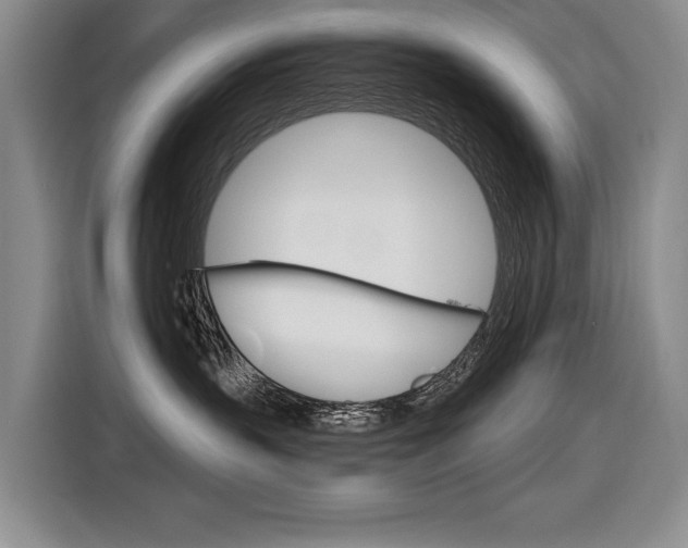 X0000116630383200912111006