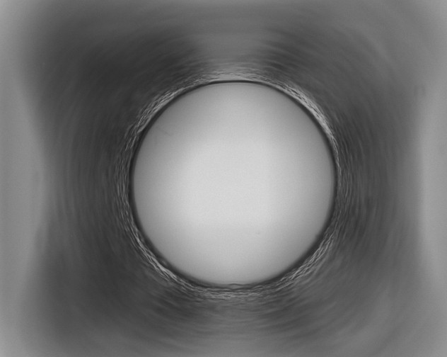 X0000116630385200912111005