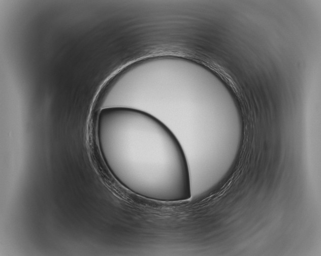 X0000116630388200912111005