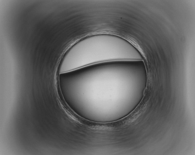 X0000116630389200912111005