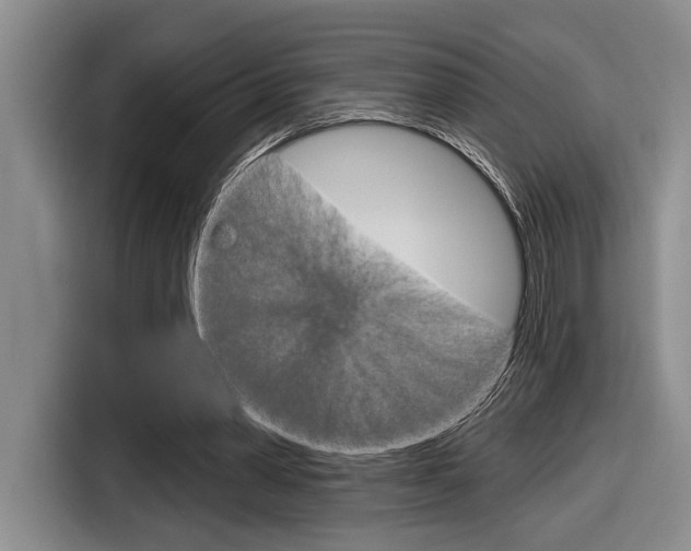 X0000116630390200912111005