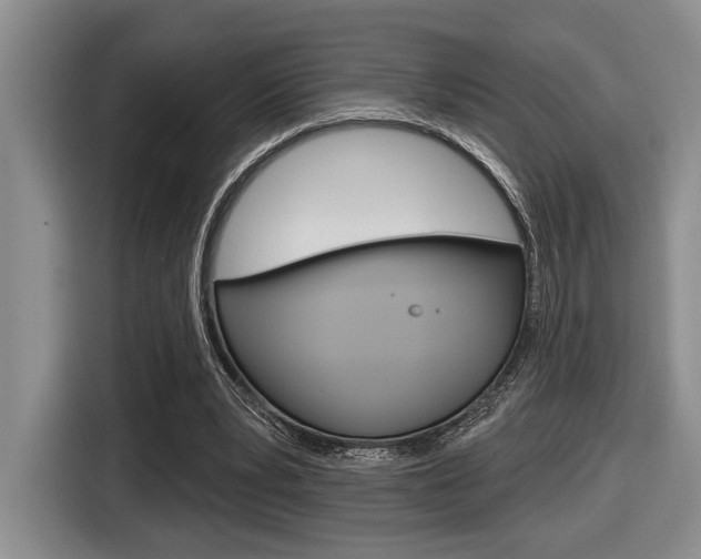 X0000116630391200912111005