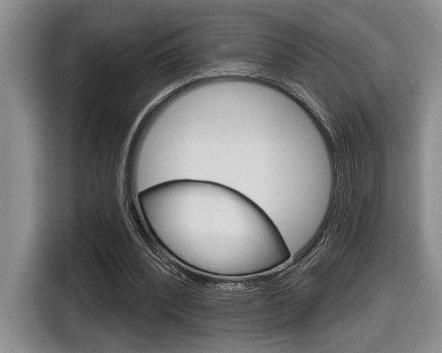 X0000116630392200912111005