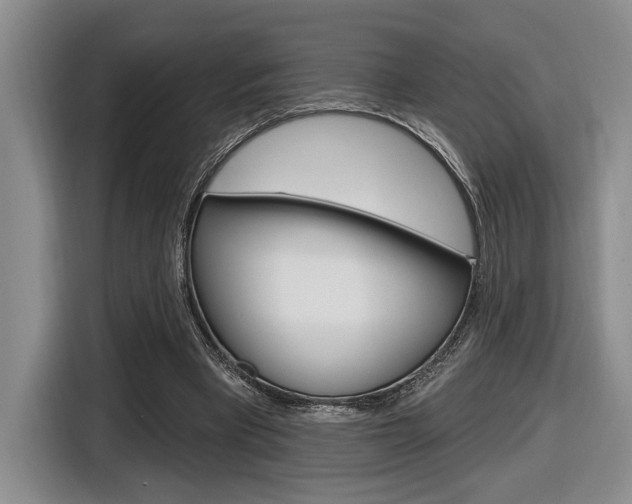 X0000116630393200912111005