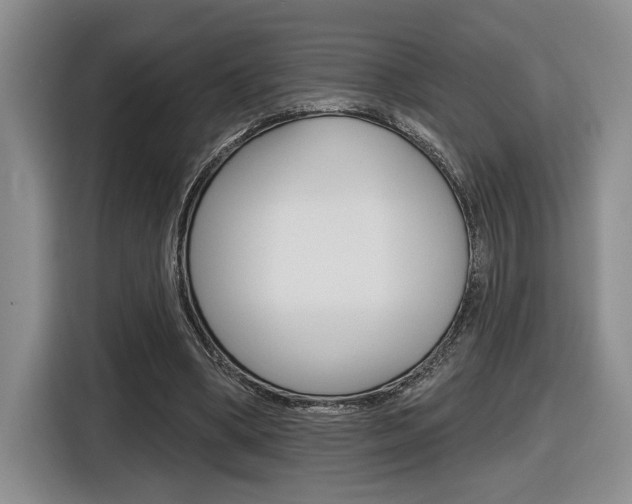 X0000116630394200912111005