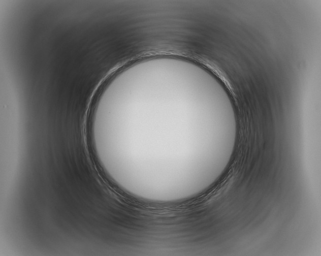 X0000116630395200912111005
