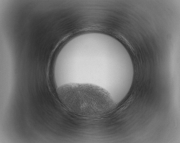 X0000116630396200912111005