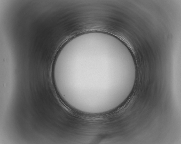 X0000116630397200912111005