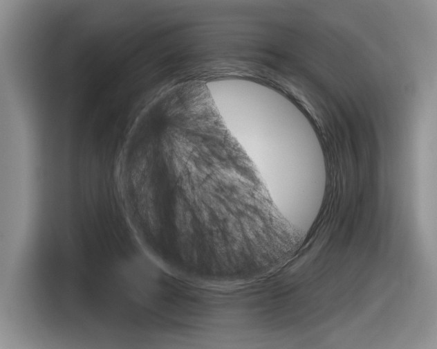 X0000116630402200912111005