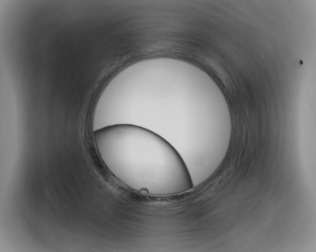 X0000116630404200912111005
