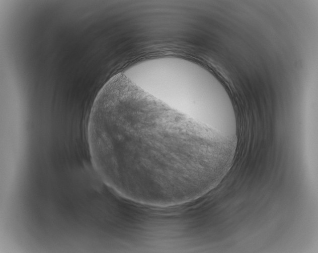 X0000116630406200912111005
