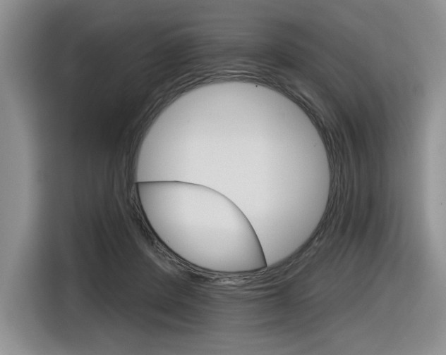 X0000116630408200912111005
