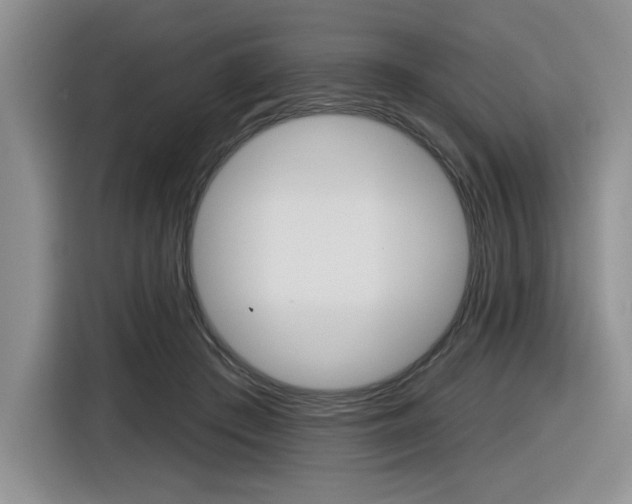 X0000116630409200912111005