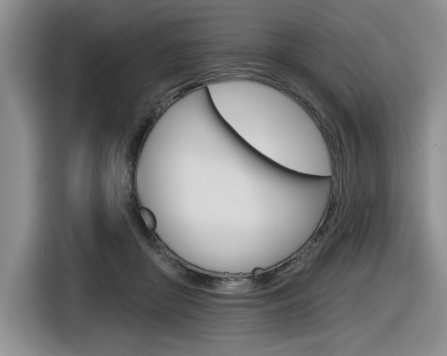 X0000116630410200912111005