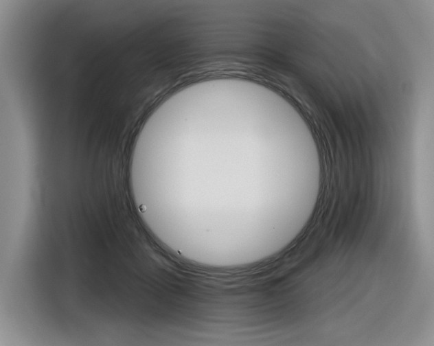 X0000116630411200912111005