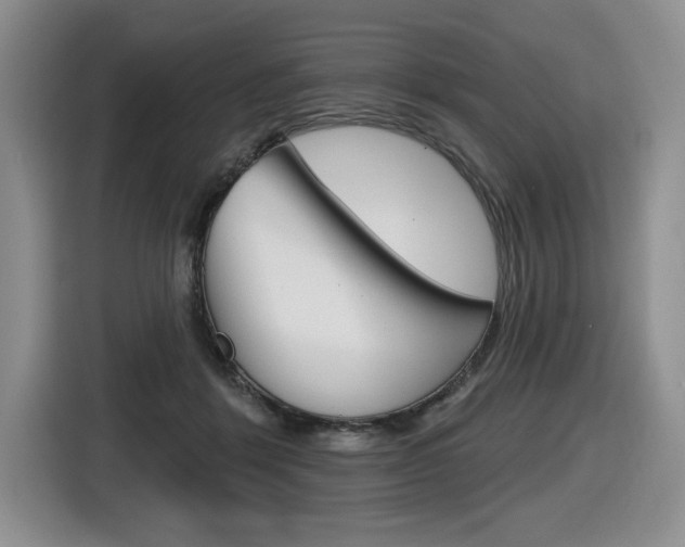 X0000116630412200912111005
