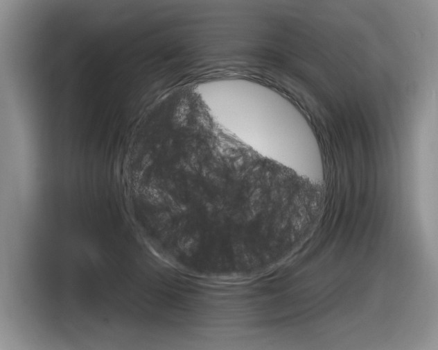 X0000116630414200912111005