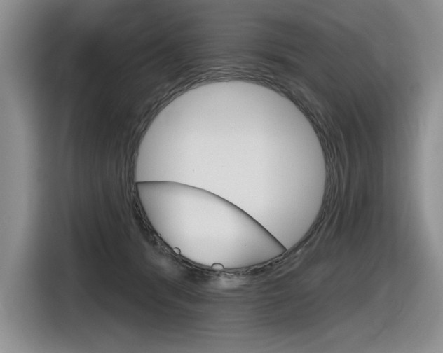 X0000116630416200912111005