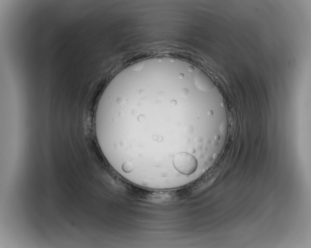 X0000116630418200912111005
