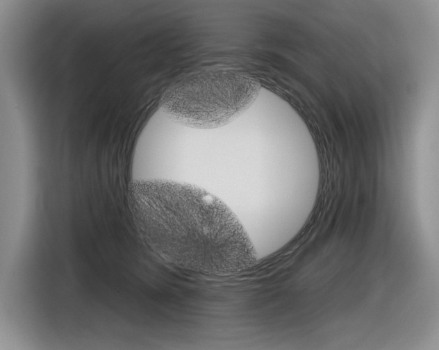 X0000116630420200912111005