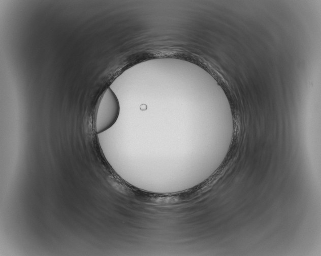 X0000116630426200912111004