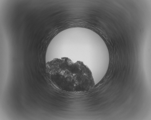 X0000116630428200912111004