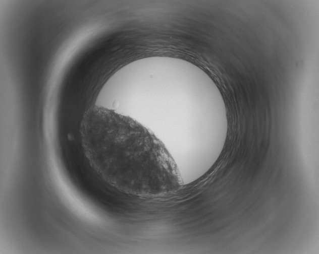 X0000116630430200912111004