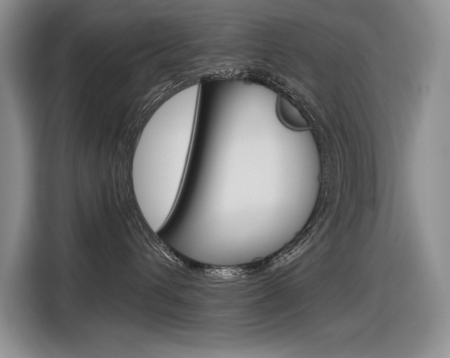X0000116630432200912111004