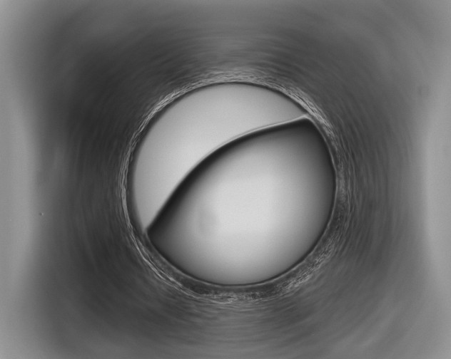 X0000116630434200912111004