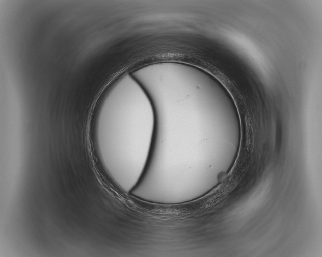 X0000116630435200912111004