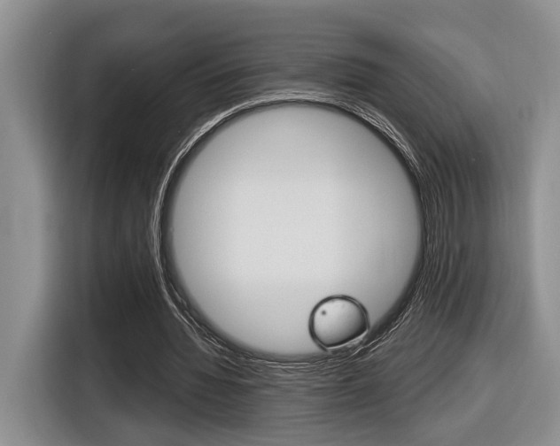 X0000116630436200912111004