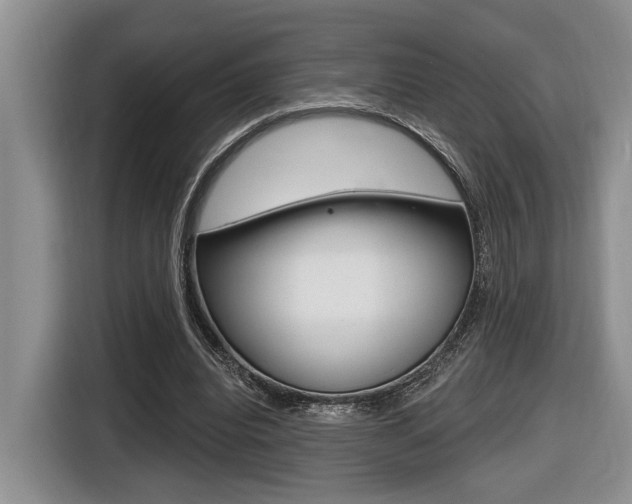 X0000116630440200912111004