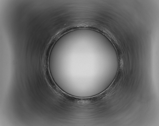 X0000116630444200912111004