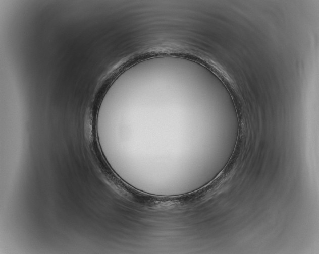 X0000116630446200912111004