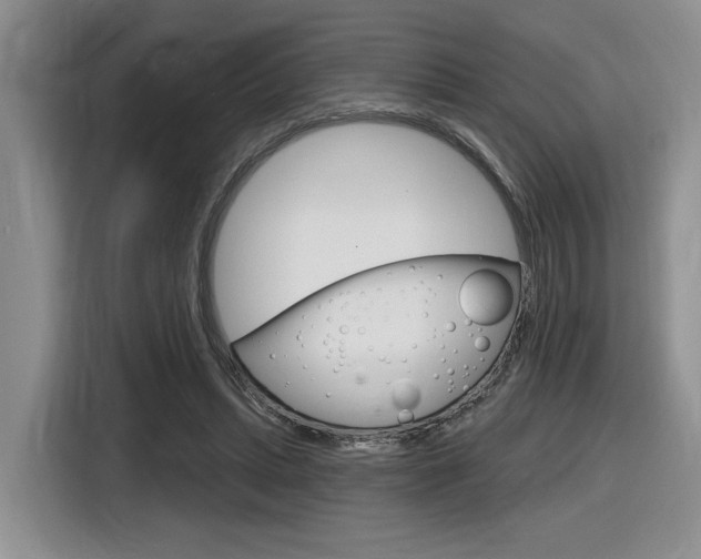 X0000116630447200912111004