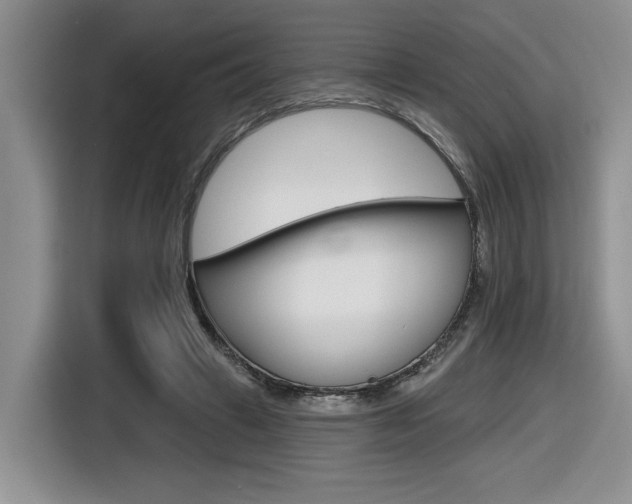X0000116630449200912111004