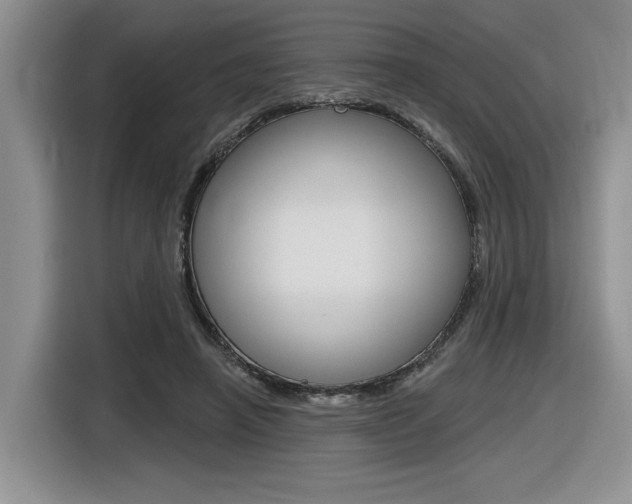 X0000116630450200912111004
