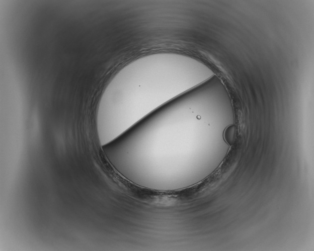 X0000116630451200912111004