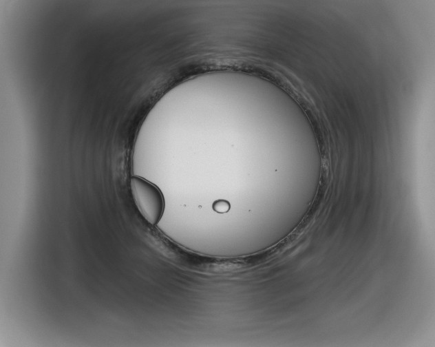 X0000116630462200912111004