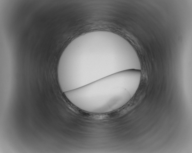 X0000116630465200912111004
