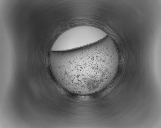 X0000116630469200912111004