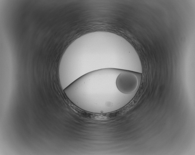 X0000116630471200912111004