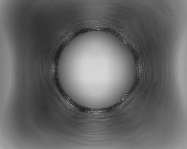X0000116630472200912111004