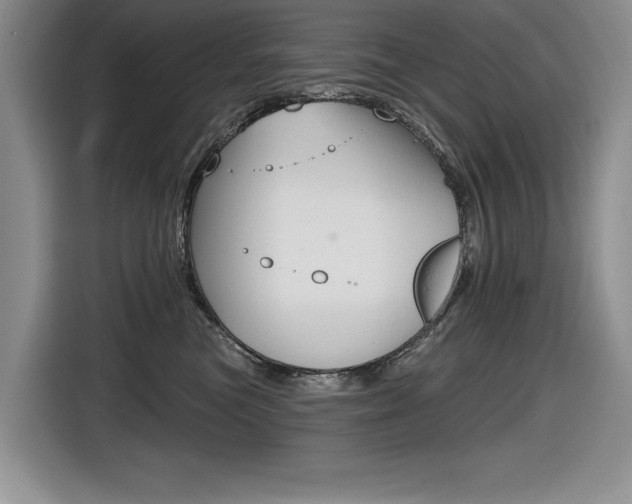 X0000116630473200912111004